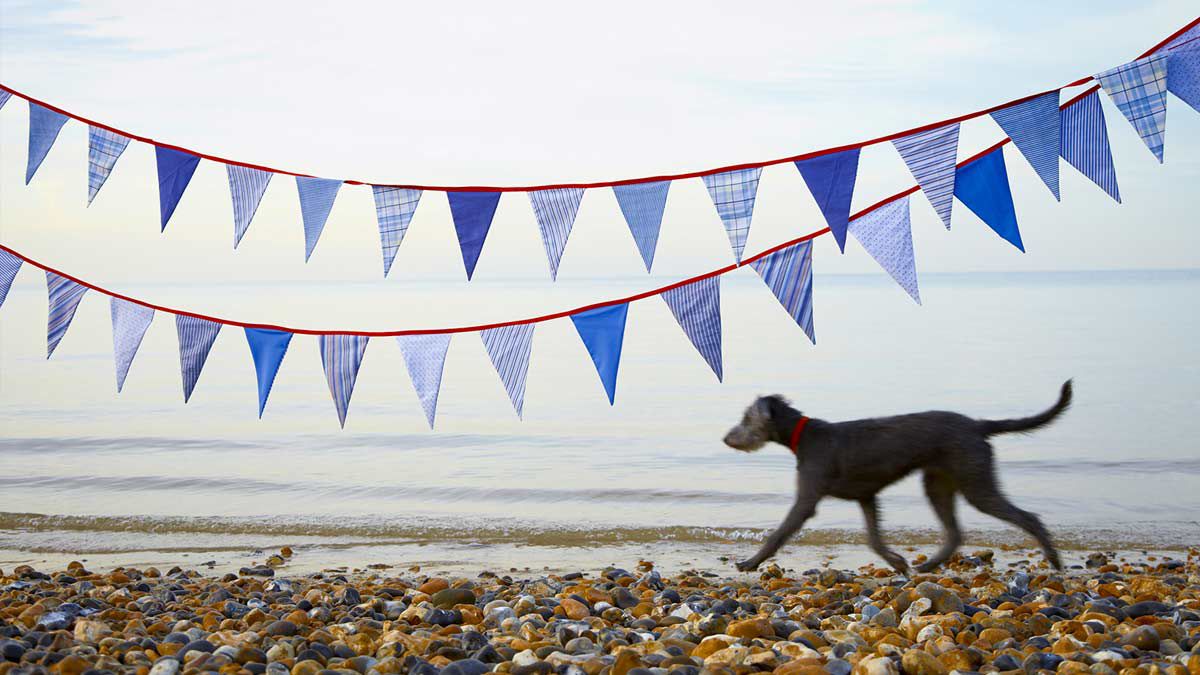 Bunting hanging over a beach - dog running in the background